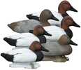 Higdon Outdoors Standard Canvasback Foam Filled 6Pk