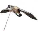 Higdon Outdoors Motion Decoy Clone Canada Goose