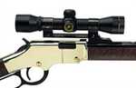 Henry Golden Boy Scope Mount (Rings Not Included)