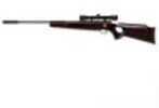 Beeman Ram XT Air Rifle .177 With 4X32 Scope