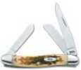 Case Amber Bone Knife Medium Stockman