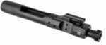 Aa Voodoo Lifecoat Low Mass Bolt Carrier Group