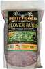 White Gold Clover Rush Seed 5 lbs. Model: WGCR