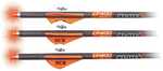 Centerpoint Cp400 Select Carbon Arrow