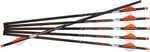 Ravin HD 500 gr.  Arrows .001 6 pk.