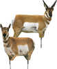 Montana Decoy Antelope Combo
