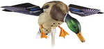 Avian X POWERFLIGHT Spinning Wing Mallard Decoy