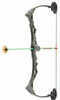 NXT Generation Rapid Riser Compound Bow Grey Model: NXTRRBB