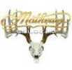 DWD Mathews Decal Solocam Skull Gold 10x8 in. Model: 70795S