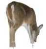 Montana Playmate Doe Decoy 39"X31" Whitetail