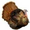 Montana Punk Jake Decoy 31"X22" Turkey