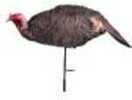 Montana Decoy Purr-fect Jake Turkey Model: 0061