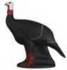 Shooter 3D Archery Targets - Turkey