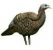 Avian X Turkey Decoy Breeder Model: 8008