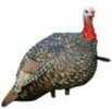 Avian X AVXAVX8003 Lcd Quarter-Strut Jake Turkey Species Multi Color Dura-Rubber