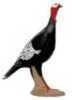 Delta McKenzie Backyard 3D Alert Turkey Model: 51440