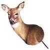 Heads Up Whitetail Doe Decoy Model: WTD-400