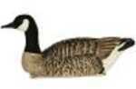 Avian X Top Flight Goose Decoy Honker Floater 4 pk. Model: 9040