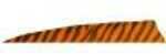 Gateway Shield Cut Feathers Barred Orange 4 in. RW 100 Pk. Model: 400RSBOR-100