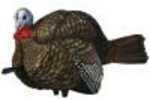 AVIAN X TURKEY DECOY LCD 1/2 STRUT JAKE Model: AVX-AVX8012