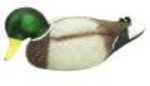 MOJO Rippler Mallard Drake Decoy