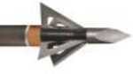 Wasp Dart Broadhead 100 Gr. 3 Pk. Model: 6410