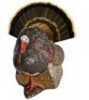 Rinehart Spot and Stalk Decoy Turkey Model: 48511