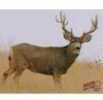 DuraMesh Archery Target Mule Deer 2 25 in. x 32 in. Model: DM216