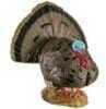 Rinehart Woodland Strutting Turkey Target Model: 41611