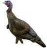 Rinehart Turkey Decoy Jake Model: 49711