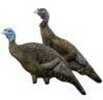 Rinehart Turkey Decoy Combo Hen and Jake Model: 49611