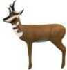 RW Pronghorn Antelope Target Model: 3D300A