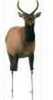 Montana Decoy Spike Elk Model: 0068