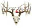 DWD Bowtech Antler Decal Model: 2017B