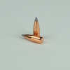 OEM Blem Bullets 22 Caliber .224 Diameter 50 Grain Poly Tipped 100 Count (Blemished)