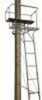 Big Dog Tree Stand Ladder Big Bud 15Ft 2-Man Model: BDL-405