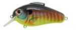 Bill Lewis Echo 1.75 Crankbait 5/8 Sunrise Perch Model: EC-253