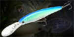 Lucky Craft Staysee 90sp 7/16Oz 3-1/2In Orange Tennessee Shad Md#: SS90SPV2-077OTSD