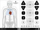 Action Target Fieldcraft Survival Double Sided Training Target Multi Color 23"x35" 100 Per Box Fldc-p-100