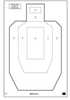 Action Target IPSC-P Official USPSA/IPSC Practice White/Black 23"x35" 100 Per Box IPSC-P-100