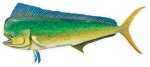 Salty Bones Profile Fish Decal 13-3/4In X 4-3/4In Mahi Md#: BPF2484