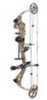 Bowtech Diamond Core RH 70# Bow Package A12225