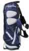 Dallas Cowboys Golf Fairway Stand Bag