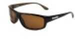 Newport Laguna Shiny Brown Frame Amber Polarized Lenses