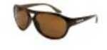 Newport Monaco Brown Stripe Frame Polarized Lenses