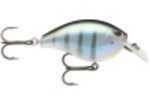 Storm Arashi Silent Square 03 Bluegill