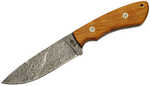 BucknBear Texas Hunter Fixed 4.5 in Blade Olive Wood Handle
