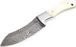 BucknBear Recurve Hunter Fixed 4.25 in Blade Bone Handle