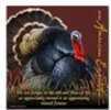 American Expedition Square Coaster - Wild Turkey