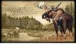 American Expedition Canvas Art - Moose